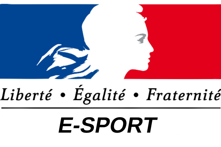 eSport : GO, LDLC et l'OL agréées par l'État pour l'emploi de joueurs professionnels